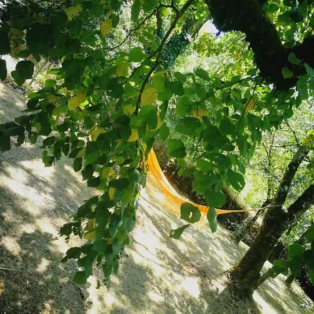 La Chaumiere Et Sa Roulotte Cuzance